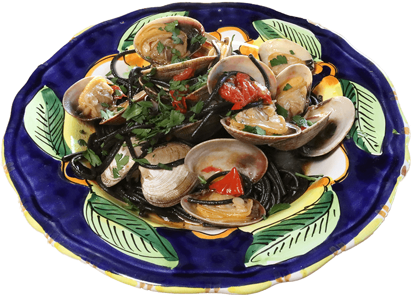 ピッツェリア パドリーノ Pizzeriapadrino 本場のナポリピッツァ 手打ち自家製生パスタ